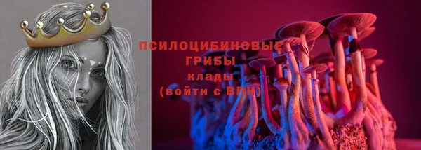 трава Абаза